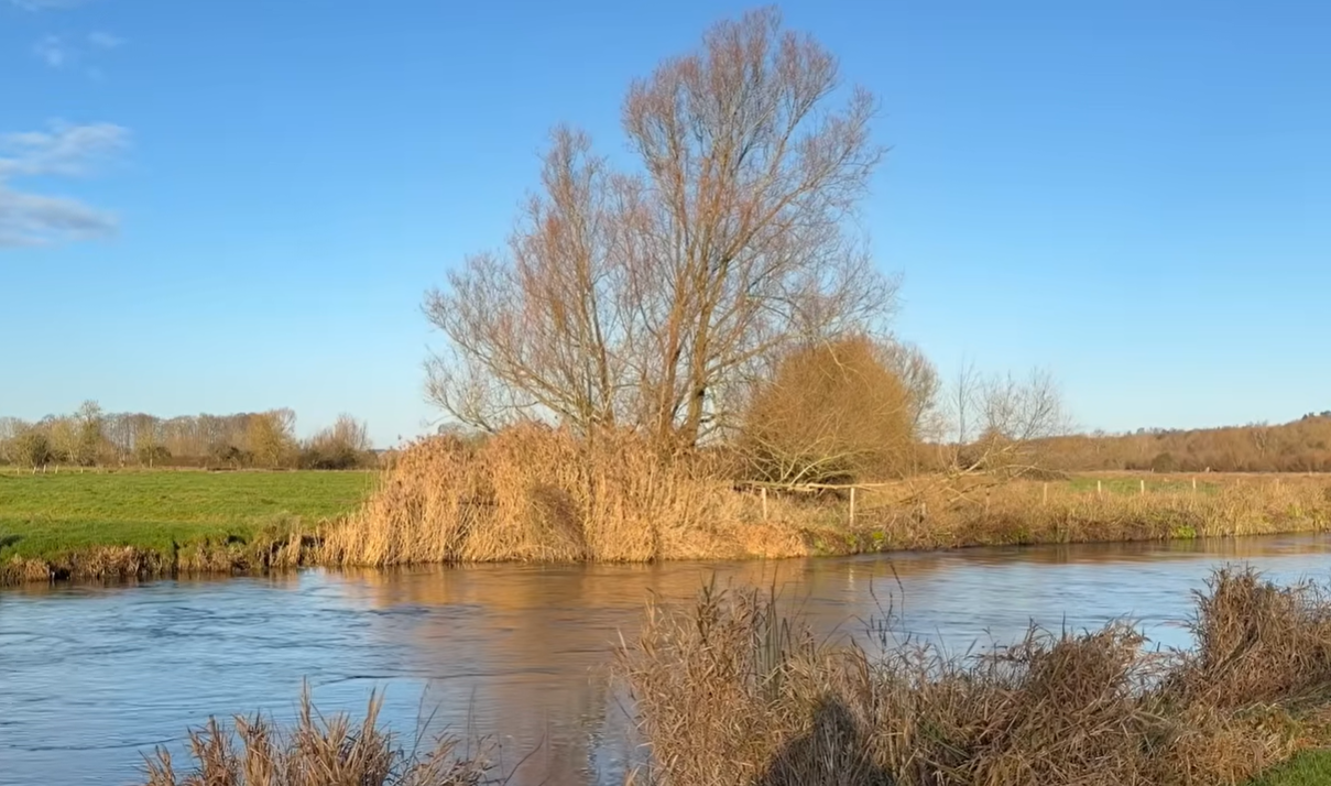 AVON, LONGFORD CASTLE (grayling)