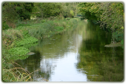 TEST, PARK STREAM. BOSSINGTON (grayling)
